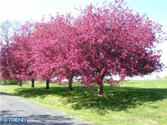 Frenchtown New Jersey Real Estate