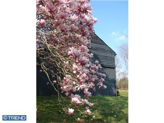 Frenchtown New Jersey Real Estate