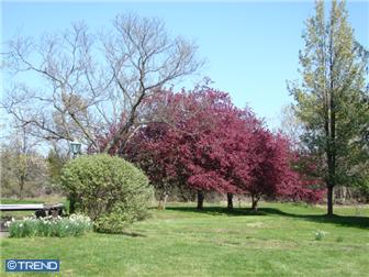 Frenchtown New Jersey Real Estate
