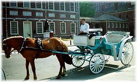 Horse Drawn Carriage Rides and Tours