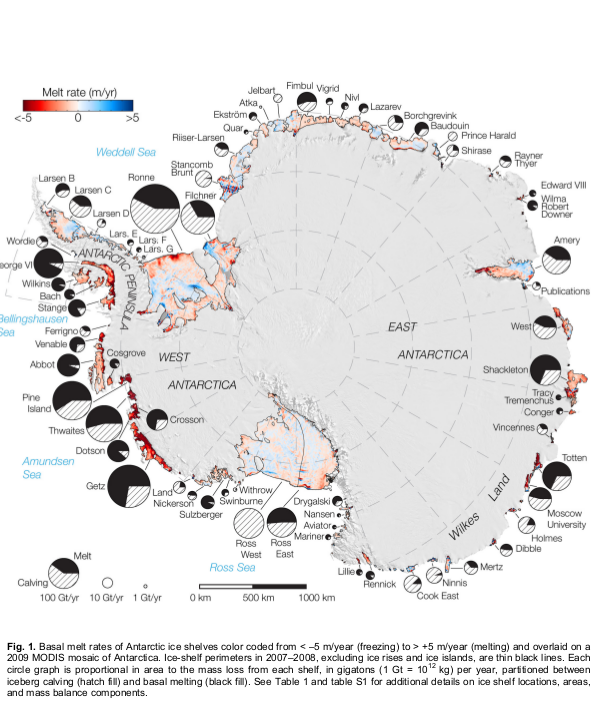 Basal Melt of Antarctic 
Ice Shelves